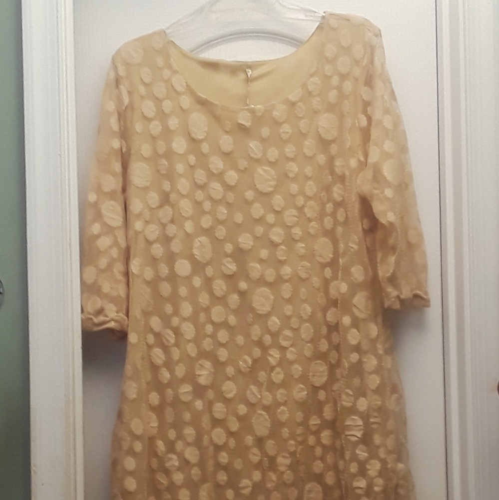 Dress ... Fresh of LA